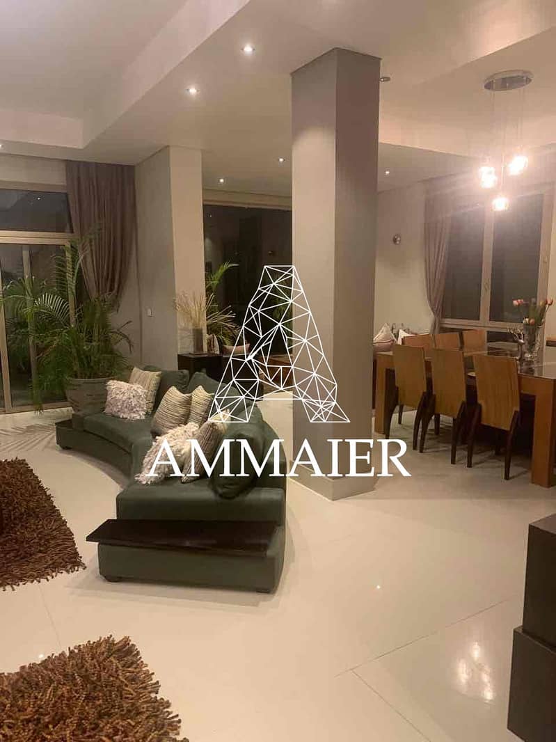 10 8afb0e09-e85f-453d-a8b4-047822b65abb. jpg