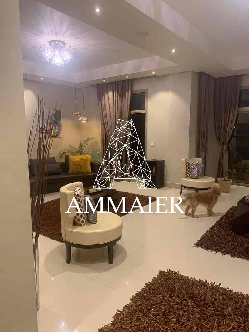 11 144c1b14-3cab-4ccb-9483-c1796e35a74e. jpg