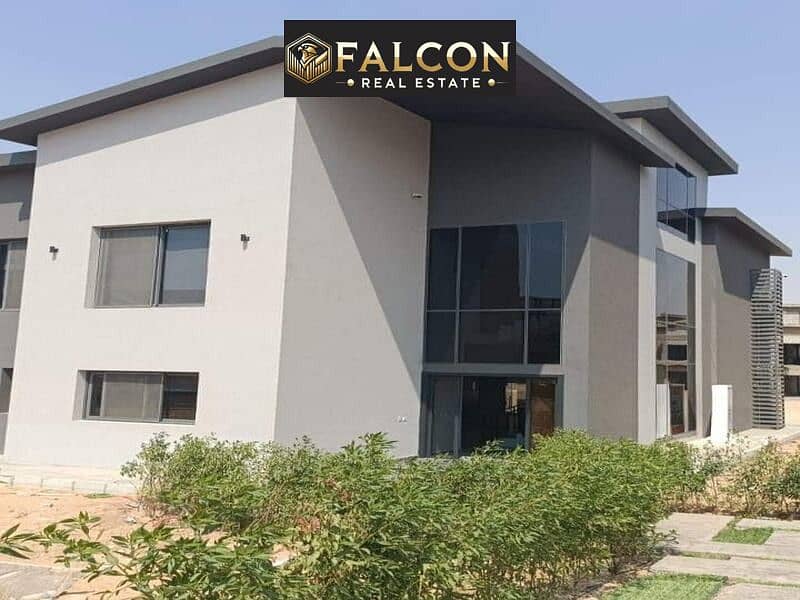 3 916e818b-e99b-4fa4-8b9f-19cc0b6dafd9. jpg