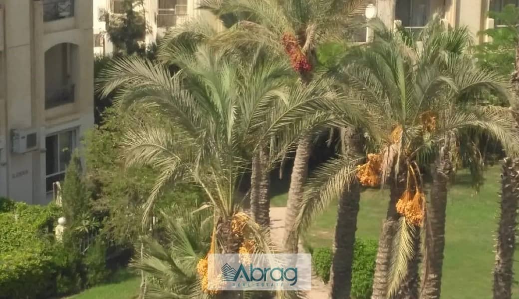 5 7725757-45d85o. jpg