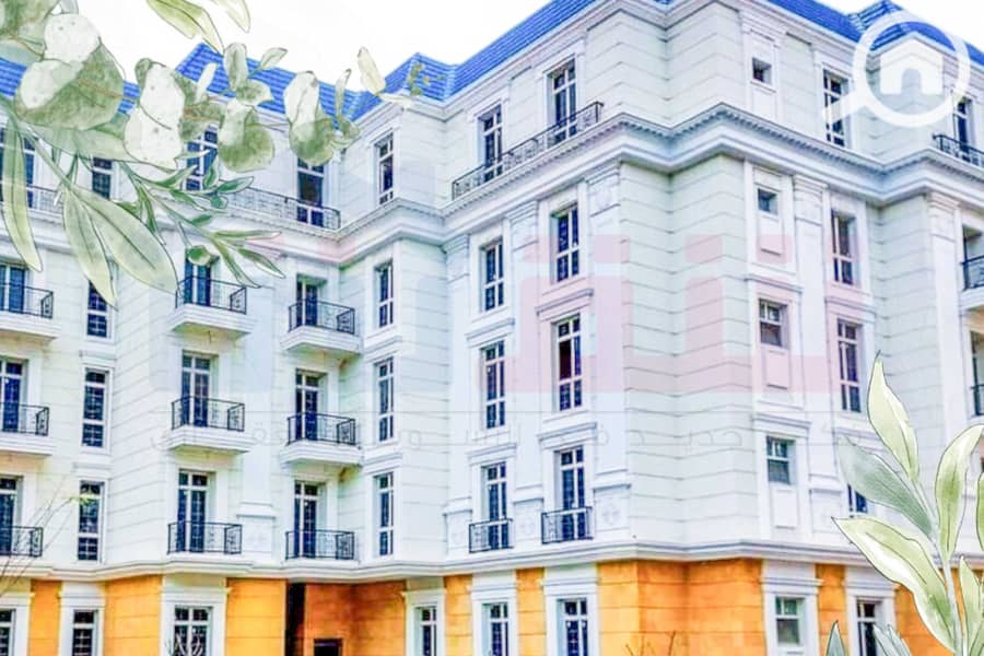 3 WhatsApp Image 2024-12-05 at 10.05. 08 AM. jpg