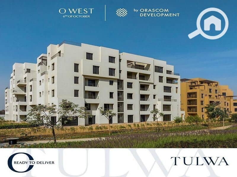 12 IMG-20250320-WA0113. jpg