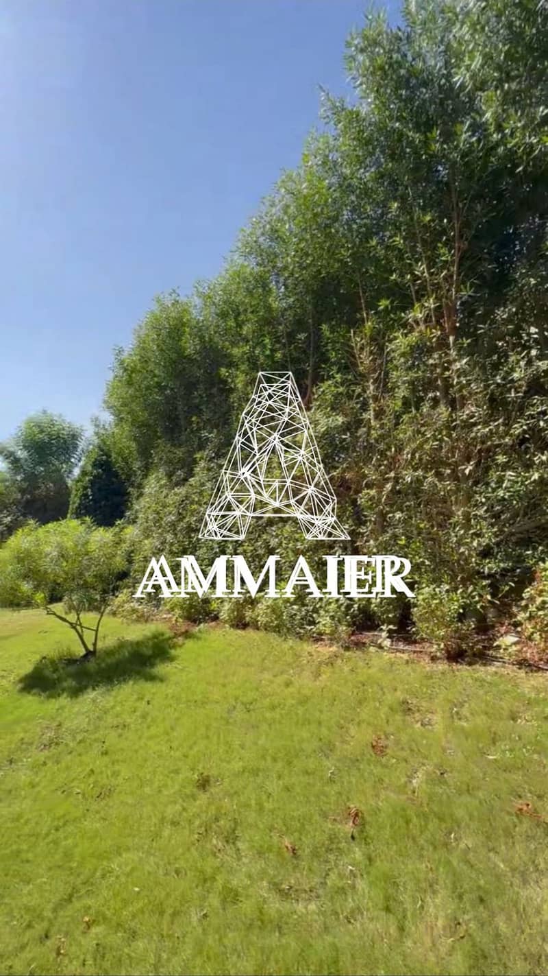 6 c5d8f11c-6938-4999-80ff-c7ecc5c9dcd7. jpg