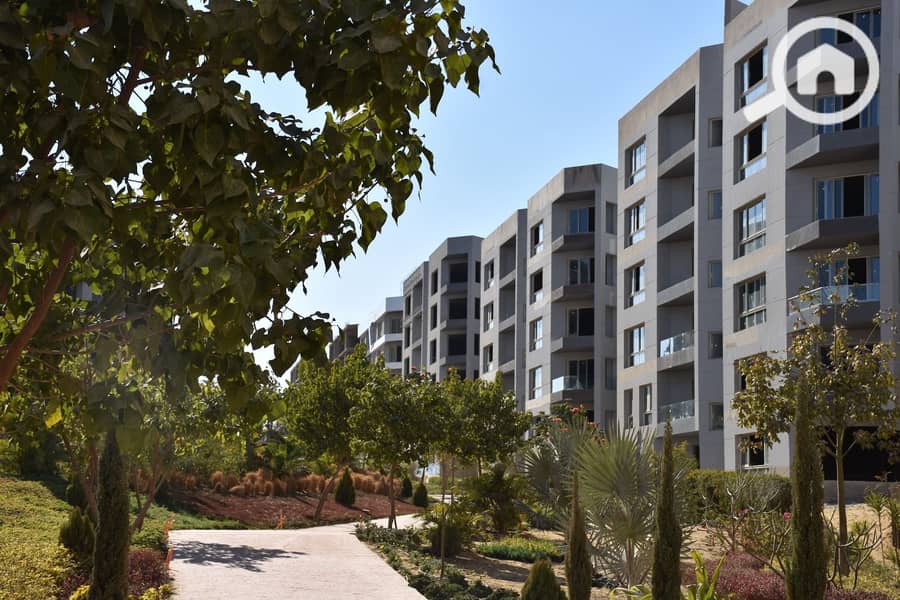 10 fcf061cd-7ce1-4fc9-9049-3c50ce502cc7. jpeg