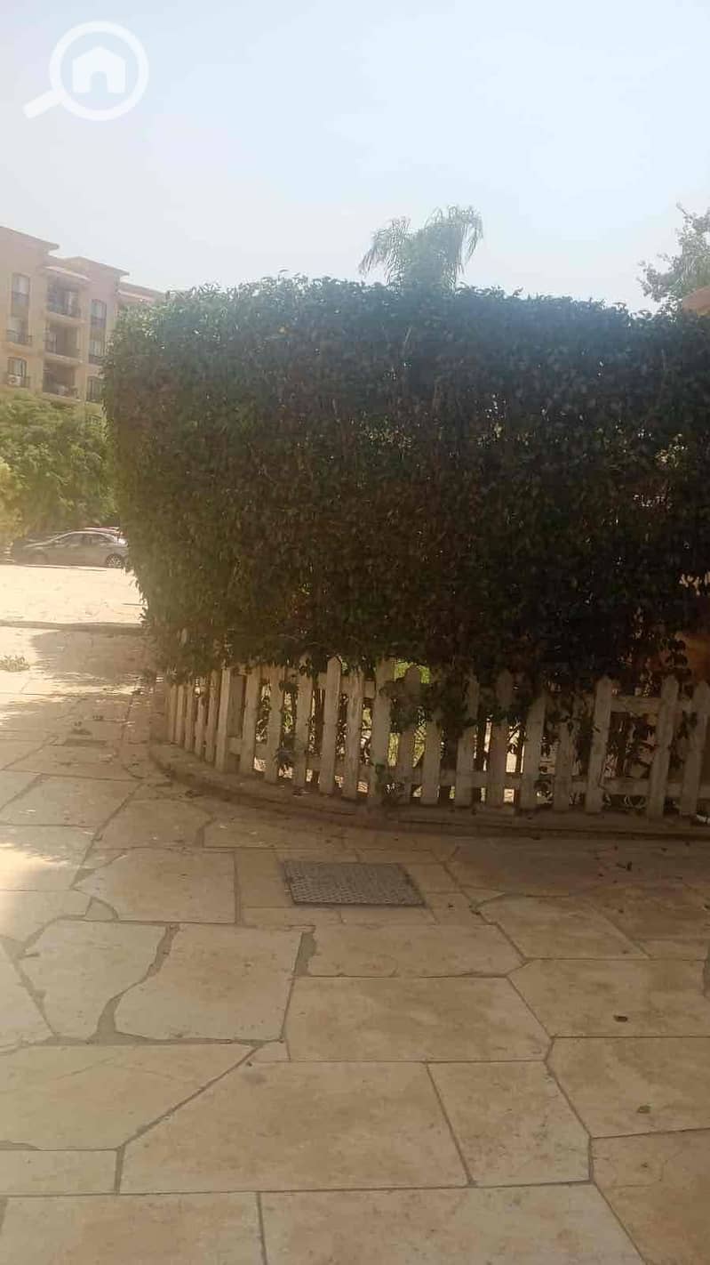 5 be310406-ab84-4879-9fae-7ad6b721aa69. jpg