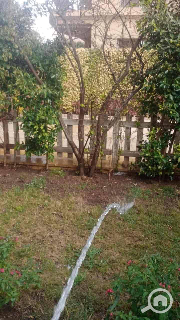 8 9f019334-72b6-4ccf-884c-facdc7bfca5c. jpg