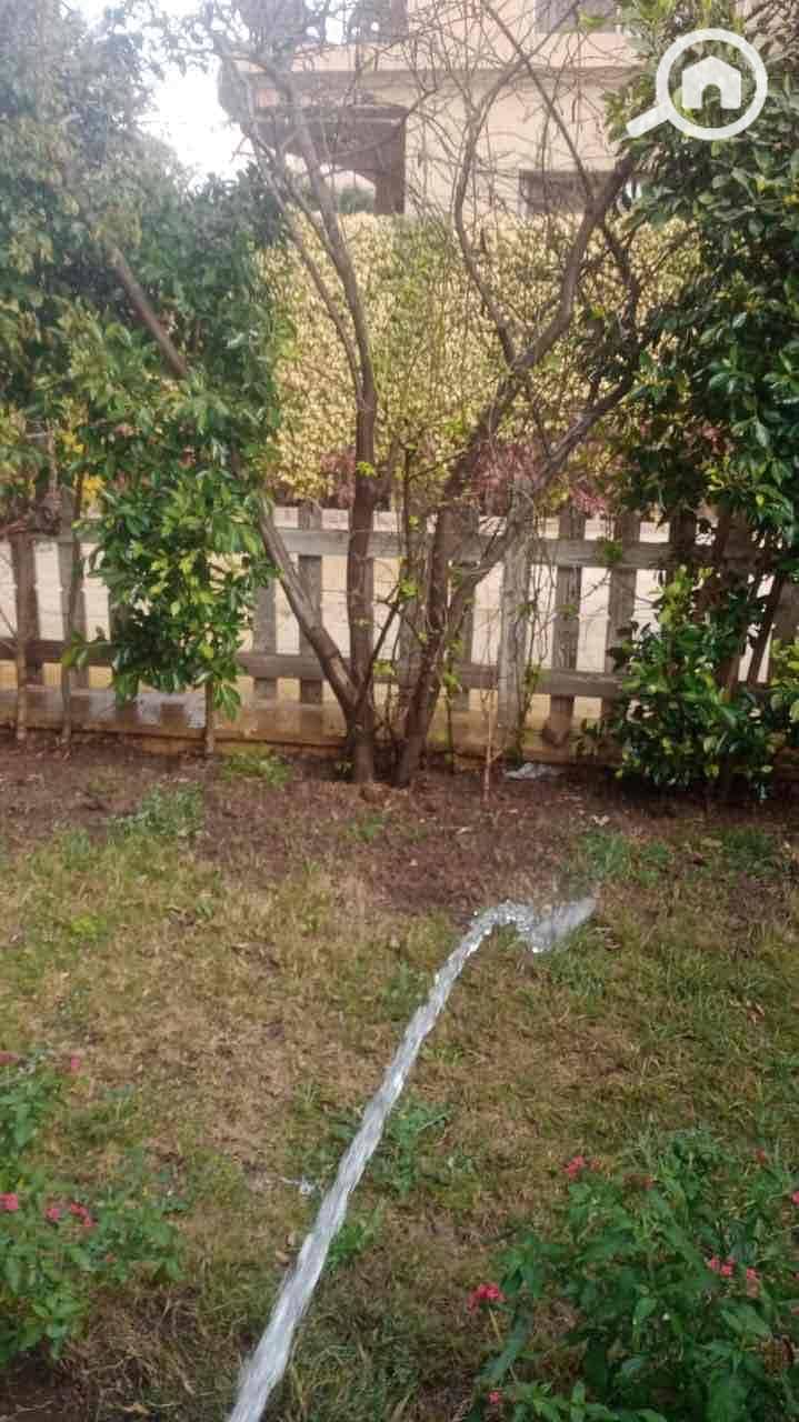 11 9f019334-72b6-4ccf-884c-facdc7bfca5c. jpg