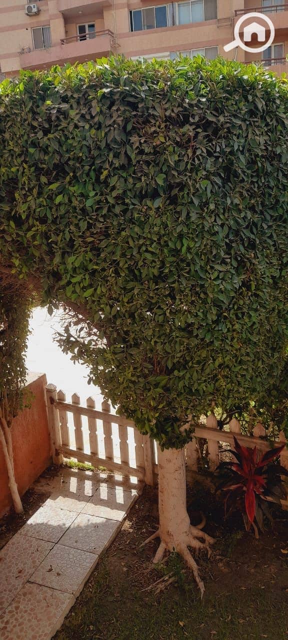 3 e5d2c941-a4a1-443b-b3b7-bfc57c6bfca2. jpeg