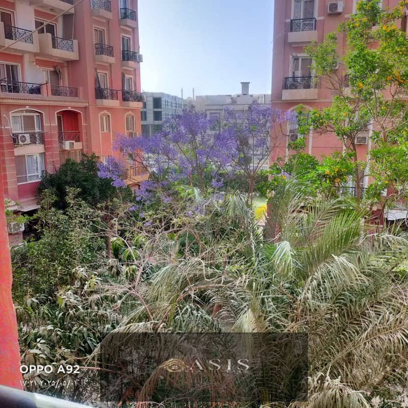 2 WhatsApp Image 2025-10-27 at 17.31. 16. jpeg