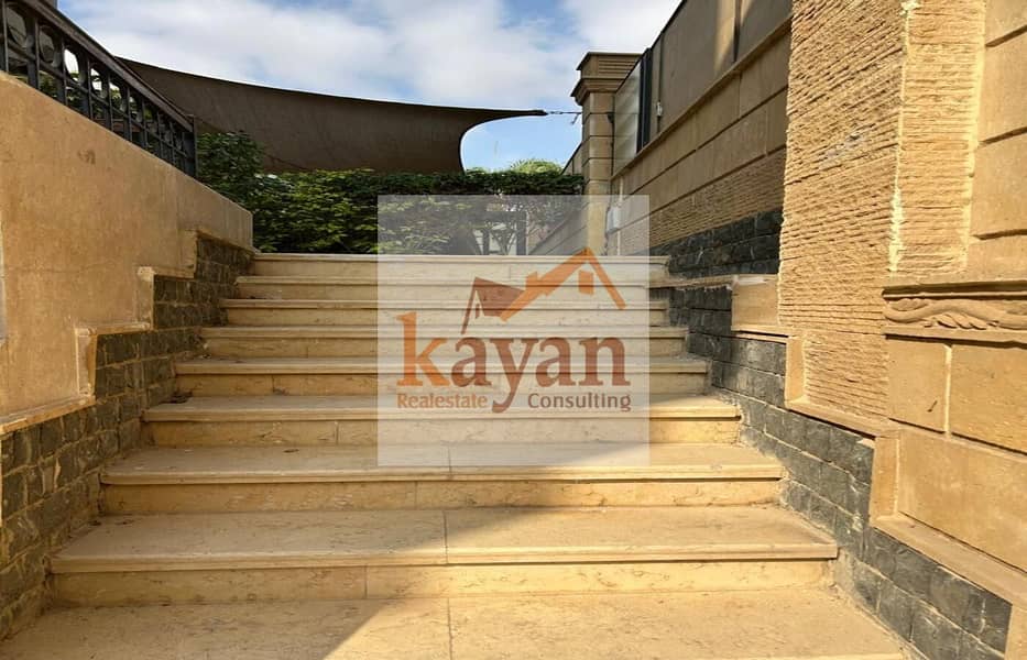 13 55fbc71c-8aca-4292-bc67-713253f51964. jpg