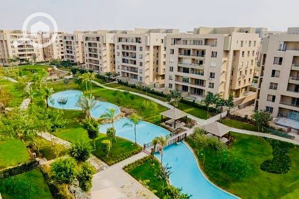 IMG_3744 (6). jpg IMG_3744 (6). jpg