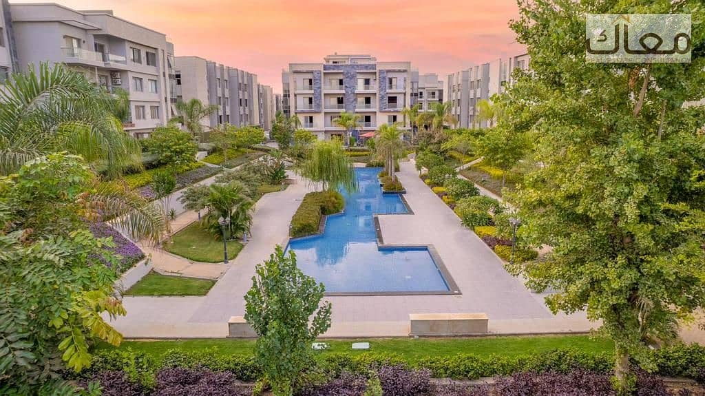 4 5245287e-27d2-4110-94da-49701425e846. jpeg