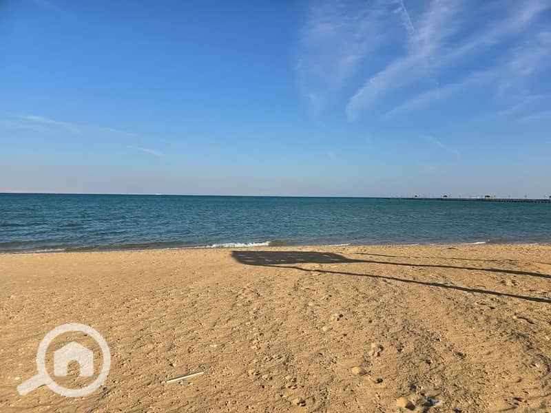 4 540755701_1296533125183597_3933687310004030590_n. jpg