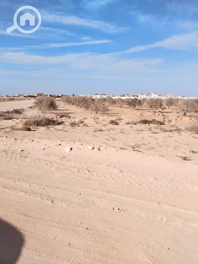 Residential Land for Sale in North Coast, Matruh - c67c5f0b-41fe-4710-b489-f273390a8f65. jpg