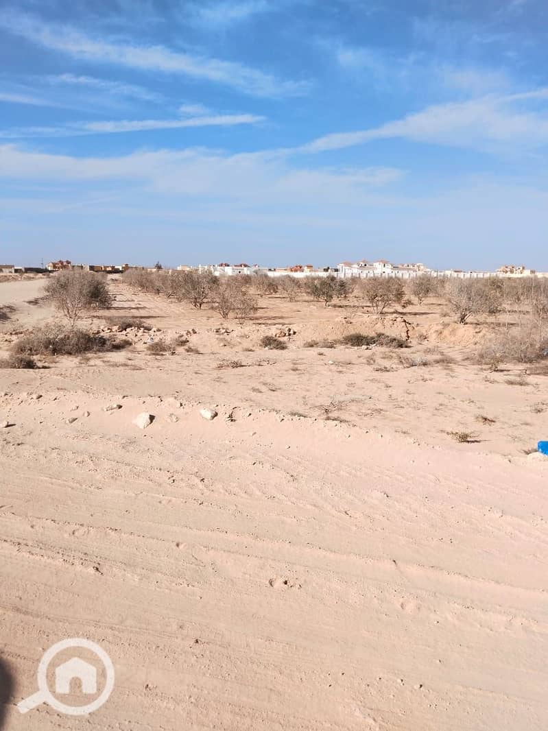 2 e3e81f2a-2c90-4226-8023-96c33ada4bf9 (1). jpg