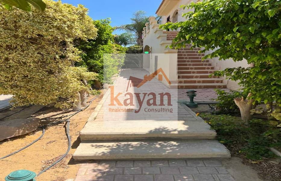 8 8049467e-6e7e-4314-99a2-e6bf30b12fb0. jpeg