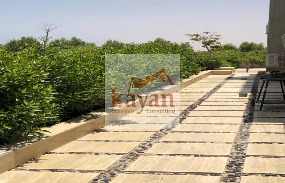 4 IMG-20250702-WA0070. jpg