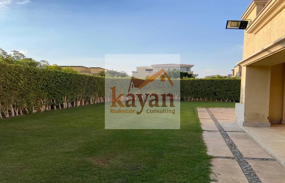 17 7f644536-5bc2-4911-b2ca-f2be49ebc4ab. jpg