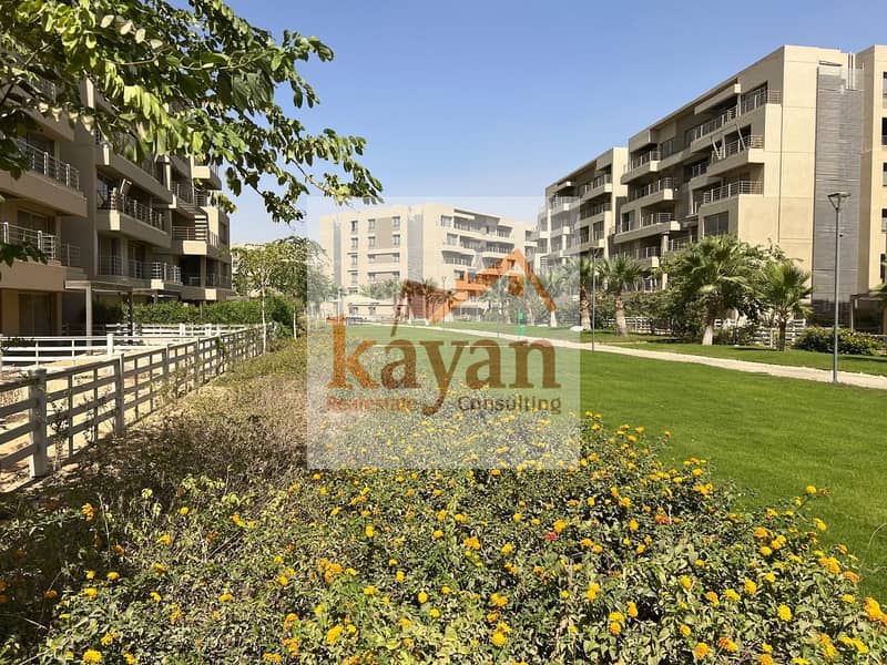 6 WhatsApp Image 2025-10-08 at 3.16. 06 PM. jpeg