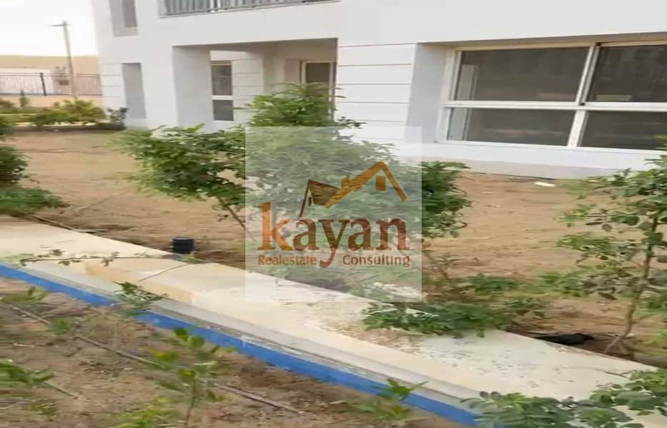 2 4981d669-bec5-4c4f-b2ab-ab04ce4895ae. jpg