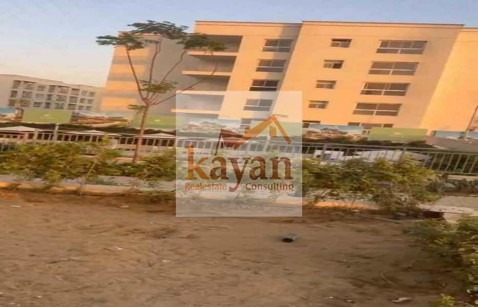 3 9723afb6-62f2-462d-a318-dd8b4089e028. jpg