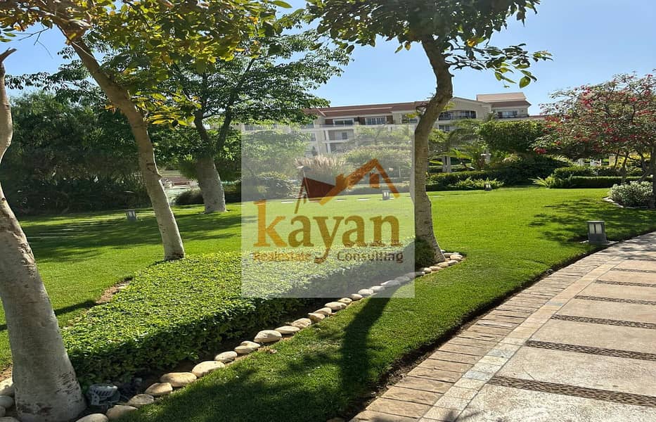 5 2438f063-e4d6-4401-b093-a81e18a327cc. jpg