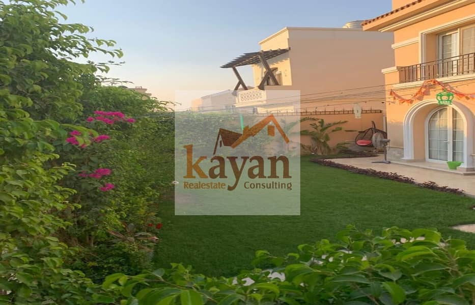 8 ab0ace92-e952-4810-99d9-dc45742684c3. jpg