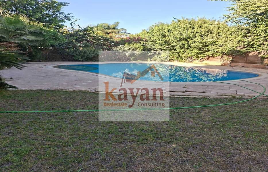 3 d4bc0ace-19e9-4f29-b567-9e99bb4a7c5f. jpg