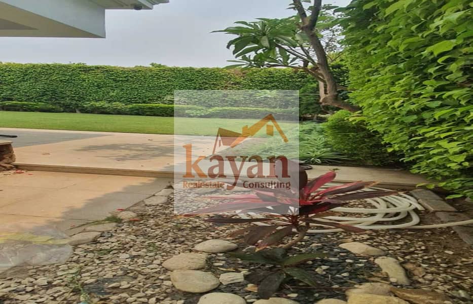 9 05f51682-5995-4616-a98a-4e13489c132b. jpg