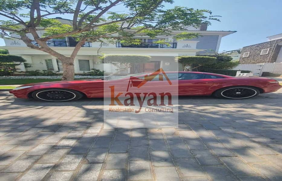 25 a84cd549-1485-443c-a704-e646849449a2. jpg