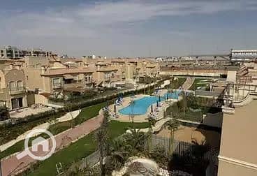 7 WhatsApp Image 2025-11-19 at 15.50. 50_737fe13d. jpg