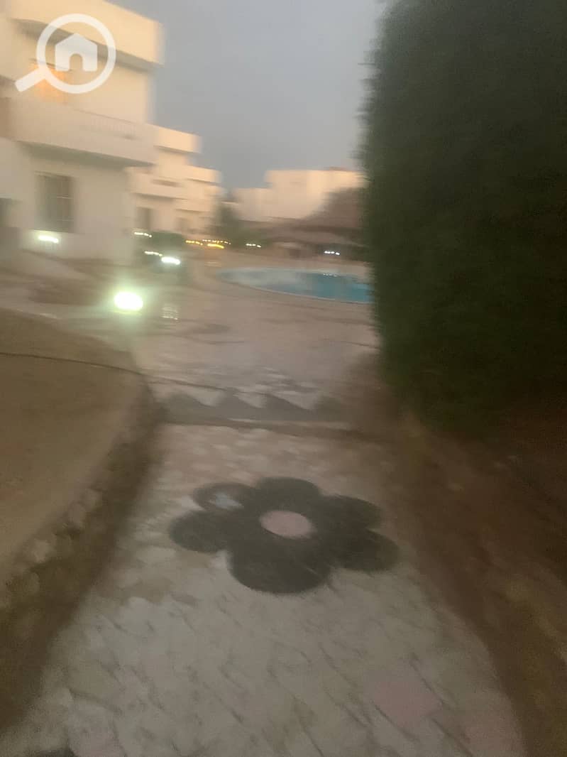 17 e1566dc3-c982-48d5-ad20-f3c4e038058b. jpg