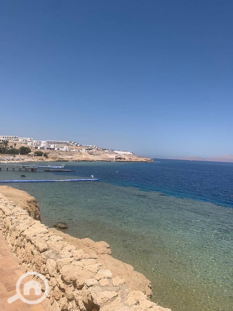 7 1a16222e-fd68-471b-98d6-403516c9d1a3. jpg