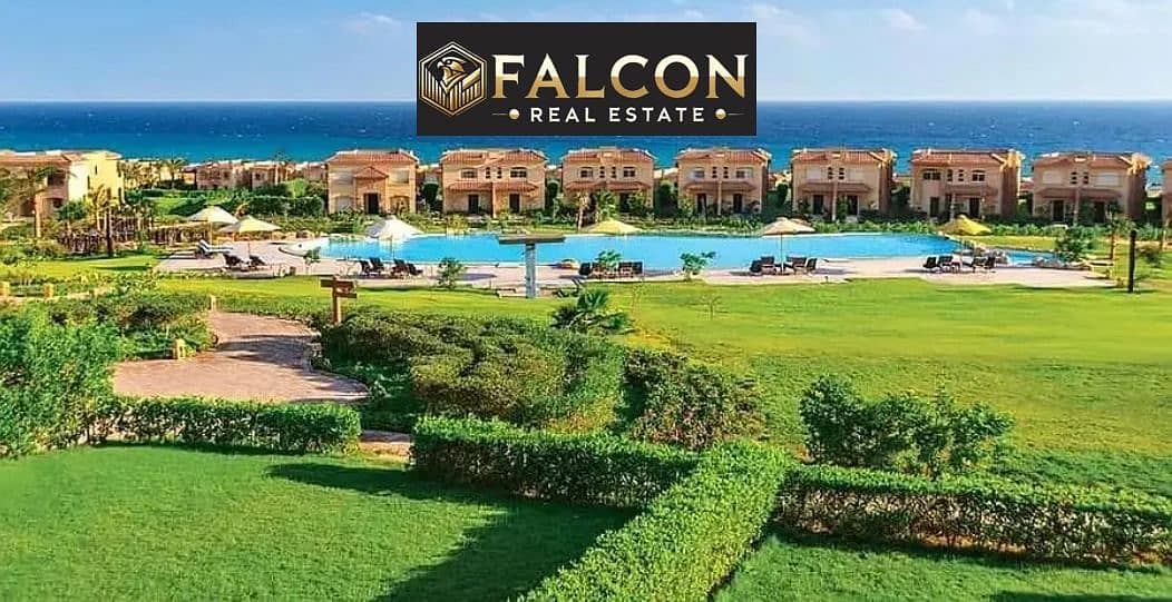 7 5a0ff746-715d-4397-8e91-e95b2a876416. jpg