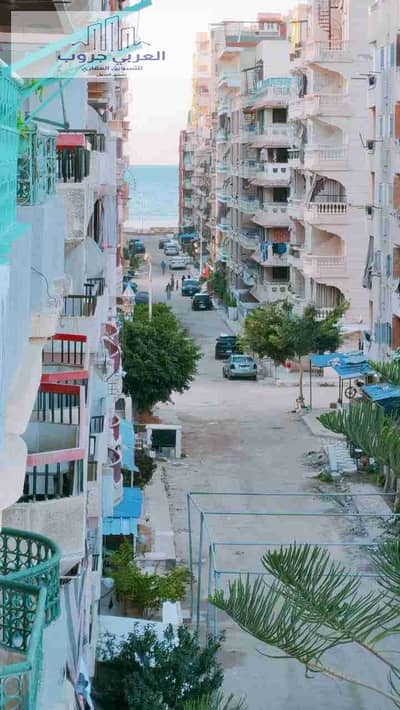 2 Bedroom Apartment for Sale in Nakheel, Alexandria - 1000330466. jpg