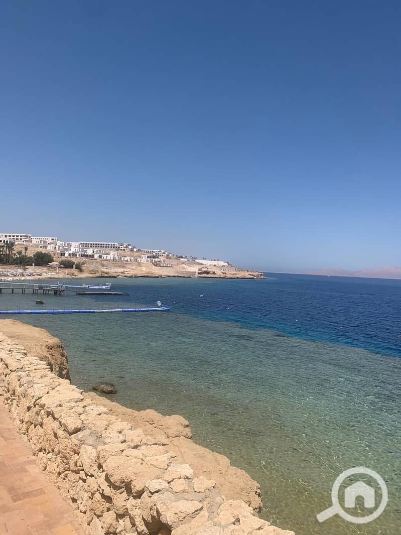 3 1a16222e-fd68-471b-98d6-403516c9d1a3. jpg