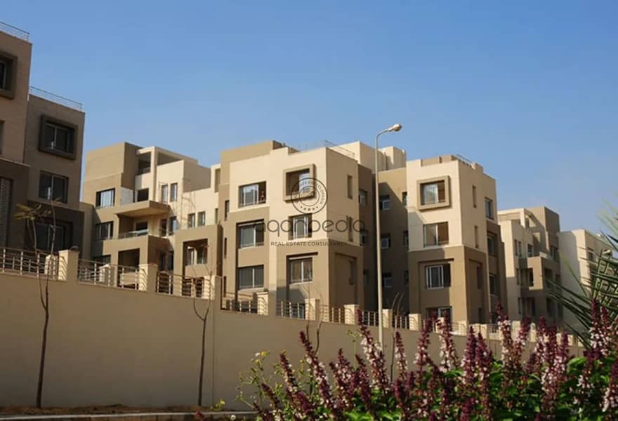 3 20e129e0-ffd2-4f06-9094-d4ad21454c12. jpg