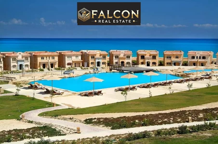 6 d28a343c-8f5e-4f0f-80dc-d878041a9055. jpg