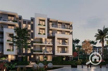 9 6155606-ce0fdo. jpg