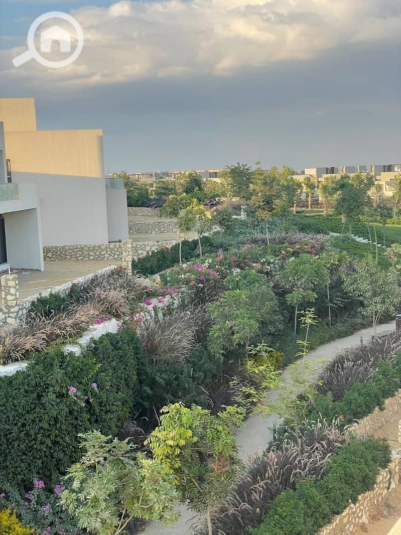 4 1e4c2476-155b-4ba5-bf9d-2bb1280a222a. JPG