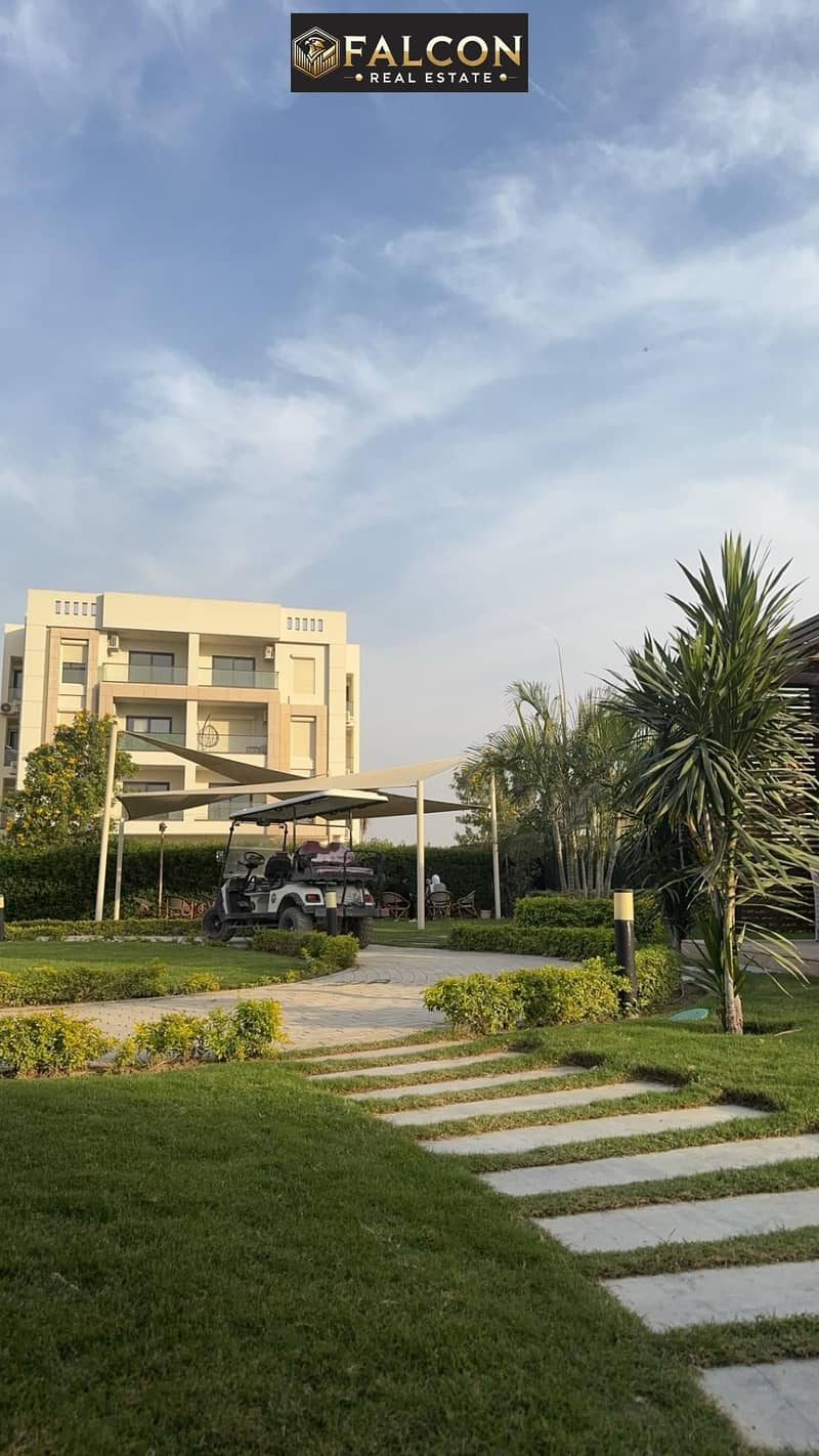 WhatsApp Image 2025-02-23 at 19.51. 14_19e85735. jpg