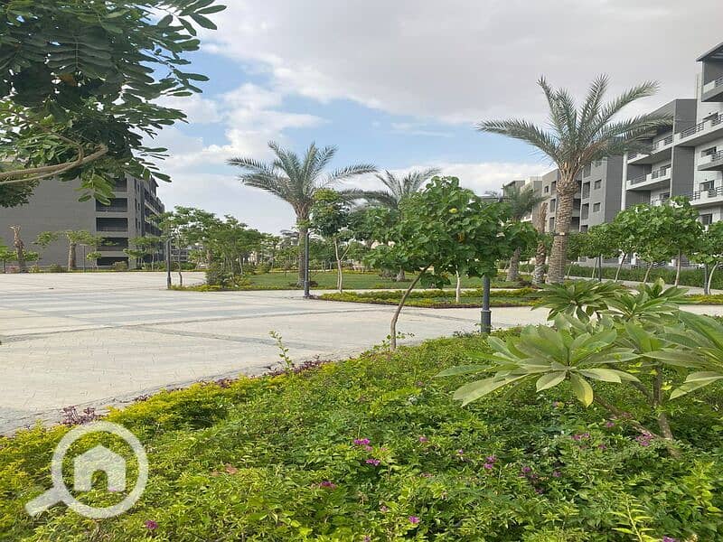 10 WhatsApp Image 2025-03-17 at 10.19. 31 PM. jpeg