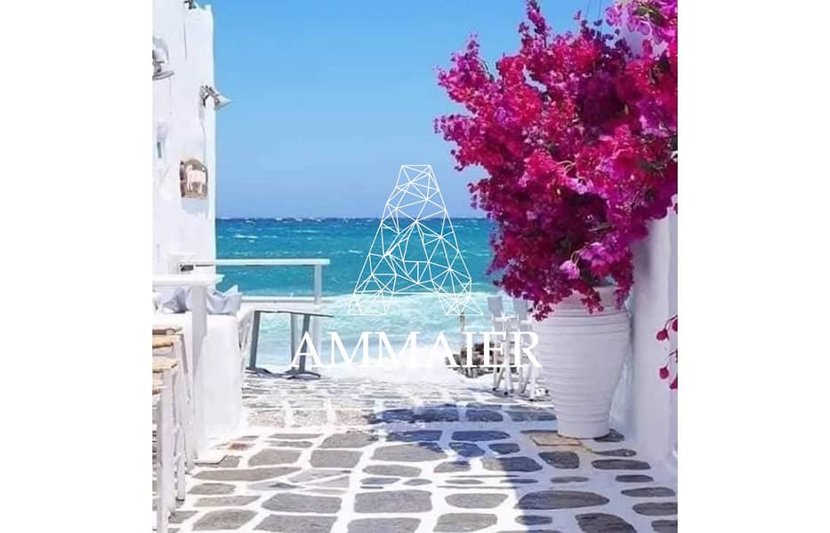 5 0964d8cd-8ca9-494a-9178-21ade41133ef. jpg