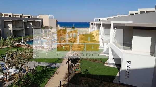 8 kRv4qQzB3gJBxDZl2XKhs7sCbtsaSutTT9JlNvUw. jpeg