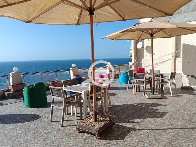 2 463b8fae-971c-4268-87ae-d05c0c1180cd. jpg