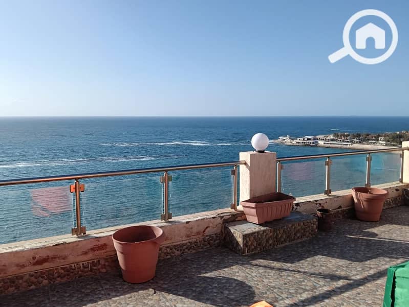 3 916e4c91-baa3-4cfe-bf3a-dfe4194406c7. jpg