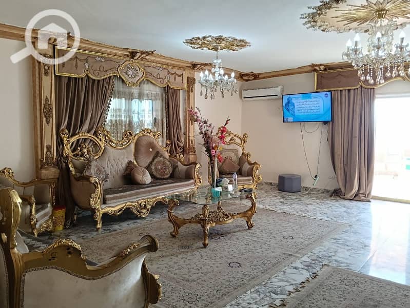 4 49061fb0-a848-4287-9bdc-327ec39c5bcf. jpg