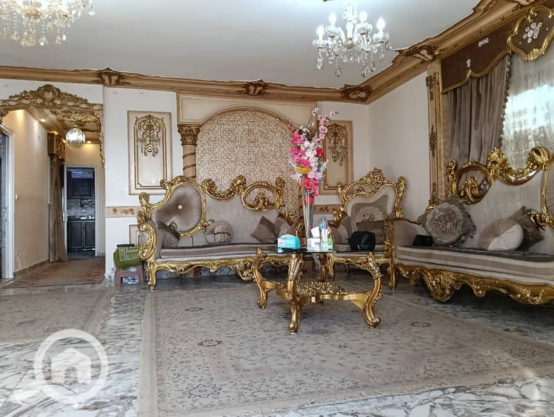 5 501018e8-38f7-4d32-ae4f-783e2babfaf3. jpg