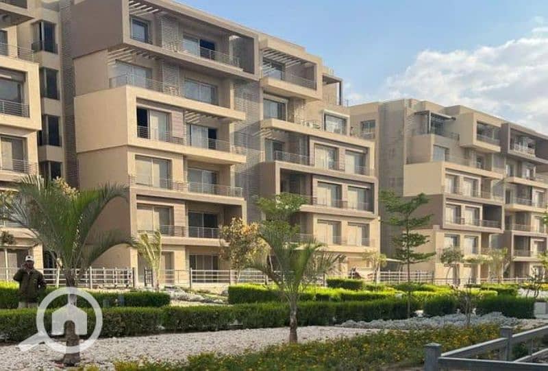 8 8332011-ef3feo. jpg