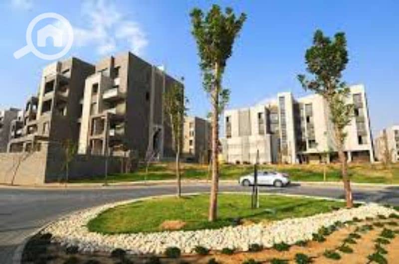 12 images. jfif. jpg